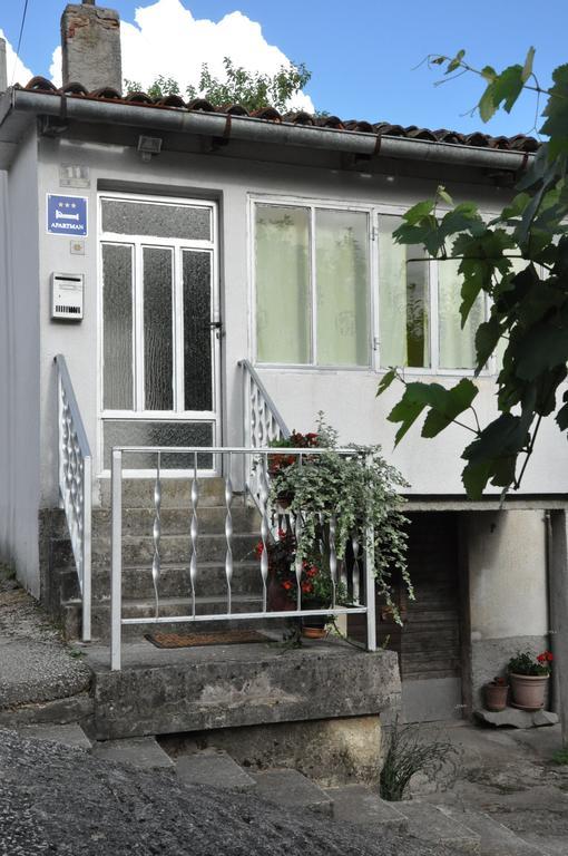 Apartment Marioni Buzet Bagian luar foto